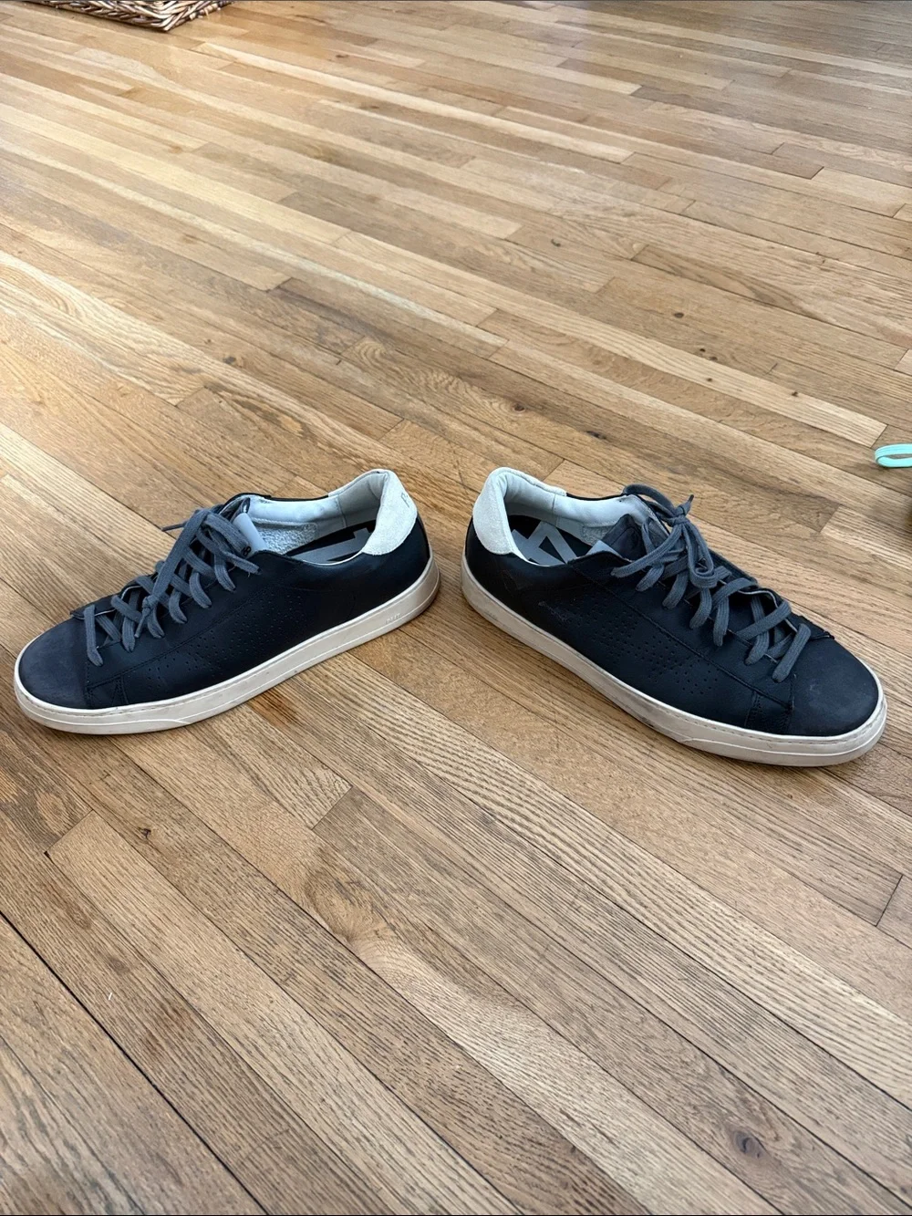 P448 classic low
